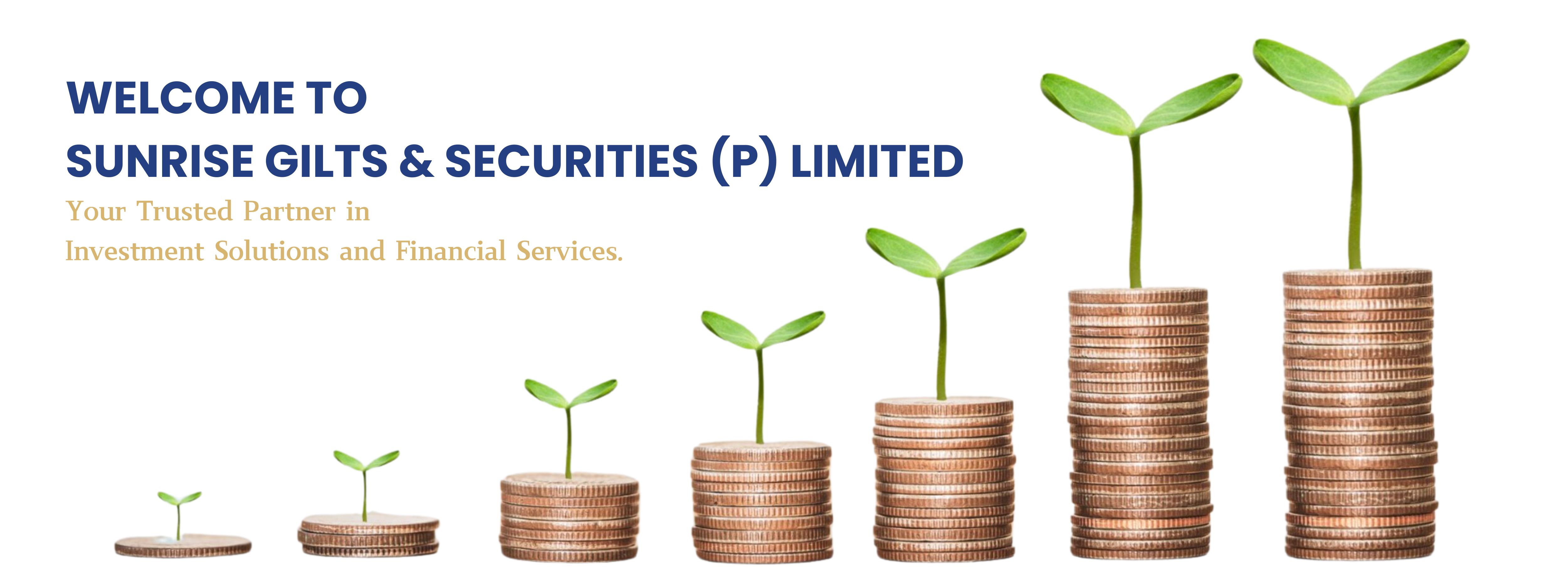 bond investment|Sunrise Gilts & Securities